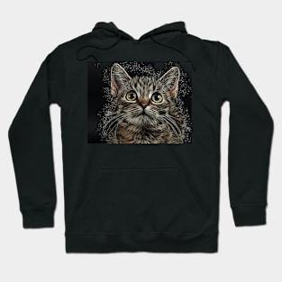 Pet 24 Hoodie